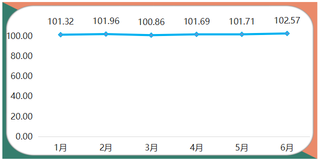 三亿体育上半年箱包产物代价指数稳中有升(图1)