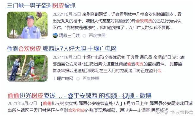 箱包关欢代价又不贵为何总遭盗剥？是为了药用价格照样纯净图利？三亿体育(图1)