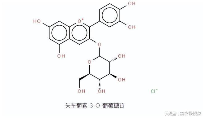 箱包关欢代价又不贵为何总遭盗剥？是为了药用价格照样纯净图利？三亿体育(图8)